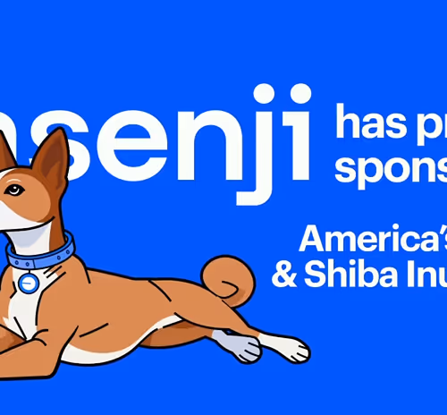 Basenji