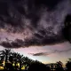 Evening Light