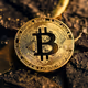 btc