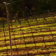 IC: 1213592 test
