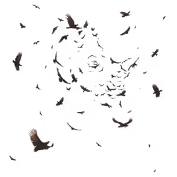 Item Media Placeholder