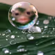 Zora airdrop drops