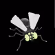mutatiobase