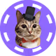 $DEGEN