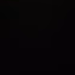 Item Media Placeholder
