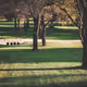 A Touch of Grass