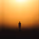 Dusk Dreamer