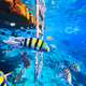 ARTASLINKREDSEA