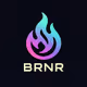 The BRNRs