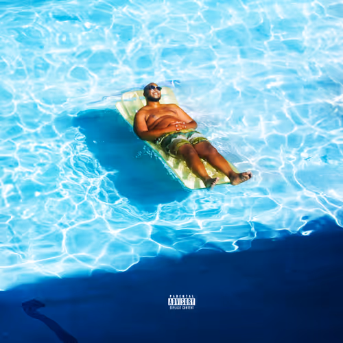 BIG DIVIDENDS (videos)