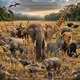 Animal Kingdom