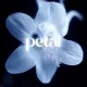 petalcoin