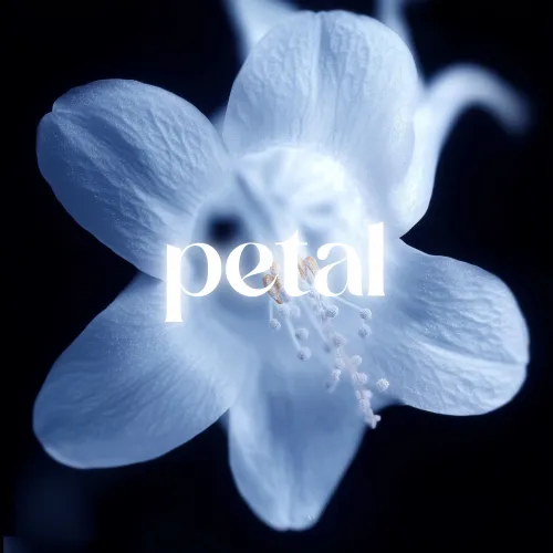 petalcoin