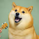 jammin doge