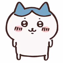 Hachi