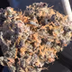 nug
