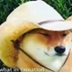 wow a cowboy sheeb