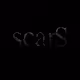 scarS projecT