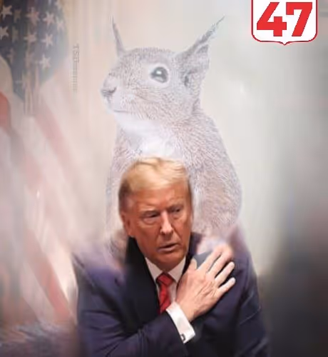 TRUMP FORCE 47