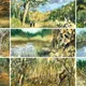 BitBrush Masterpieces