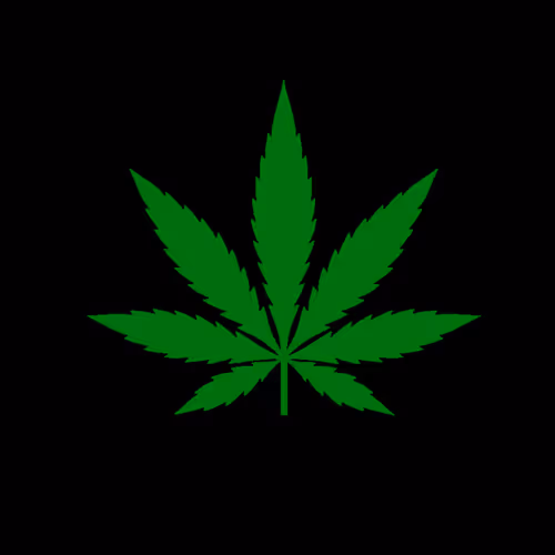 SAVE THE HEMP