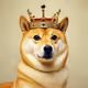 Dogeking