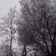 Snow day