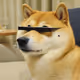 doge vision pro