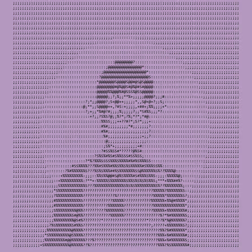 We noticed that all NFTs were minted by bots