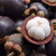 Fruits of Thailand