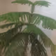 basepalm