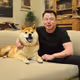 Elons Doge