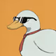The Duck