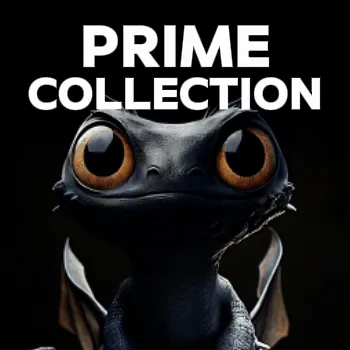 PRIME_MAGMOK_COLLECTION