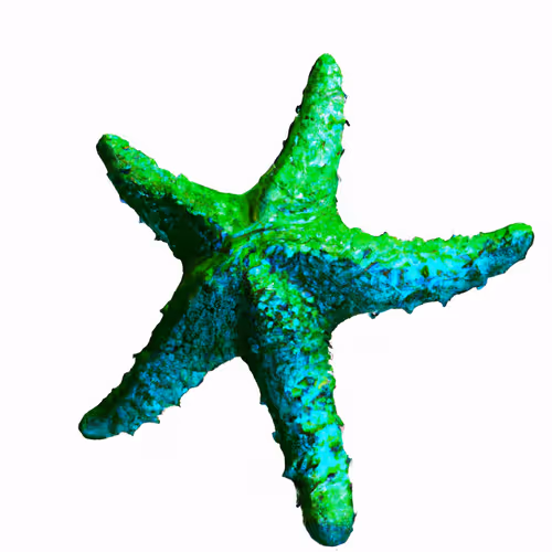 Bright starfish