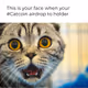 Only Cat