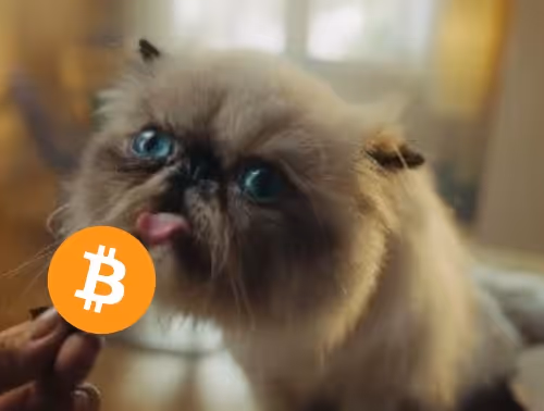 Mister  Miggless Bitcoin