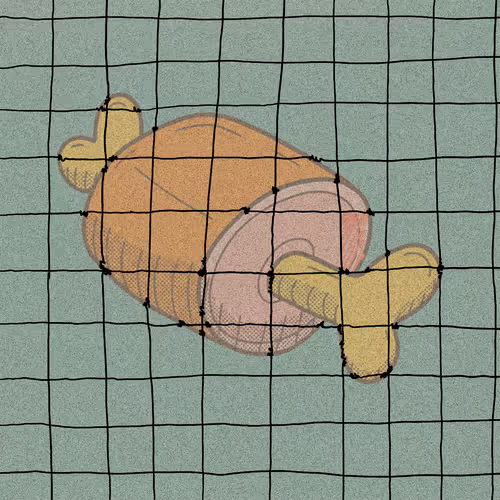 a selection of fine hams