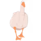Duck You