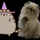 Magic Miggles