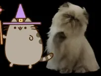 Magic Miggles