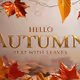 HELLO AUTUMN
