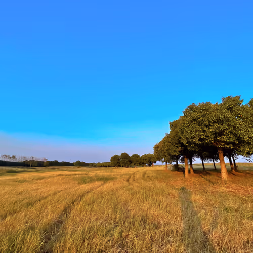 Nature's Breathtaking Beauty