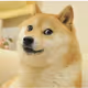 DOGE