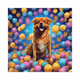 Trader Dog