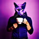 Purple CatCafe II