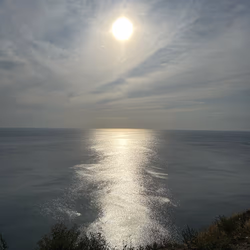 Paradise