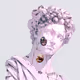 Dionysus - Cracket Beauty