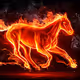 fire
