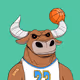 Based Bulls